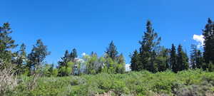 Looking east off Snowbird drive