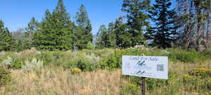 Southwest corner lot boundary t-post with sign off Snowbird