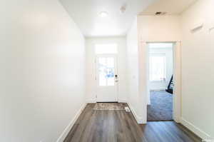 Entryway featuring dark hardwood / wood-style floors