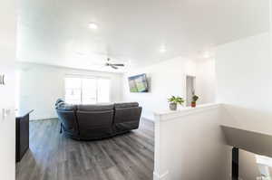 Living room with ceiling fan and dark hardwood / wood-style flooring