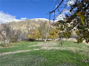 View of back yard with a mountain view and Blacksmith Fork River running in background