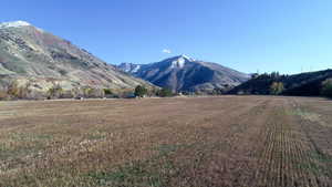 View of mountain view and field