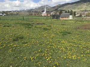 View of yard with a rural view and a mountain view