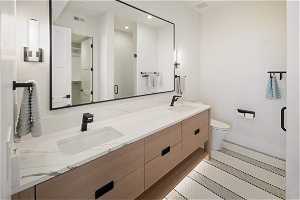 Basement 1 Bathroom: Bathroom 2, double vanity, quartz counter tops, under cabinet lighting, & walk in shower.