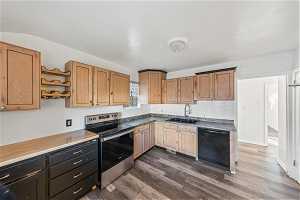 Kitchen with dark hardwood / wood-style floors, sink, electric stove, and dishwasher