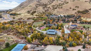 Bird's eye view featuring a mountain view