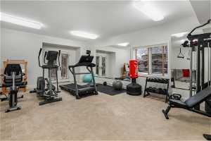 Workout area with light carpet