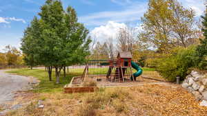 View of jungle gym