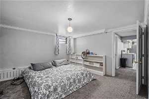 Bedroom featuring light carpet, a textured ceiling, crown molding, washer / dryer, and radiator heating unit