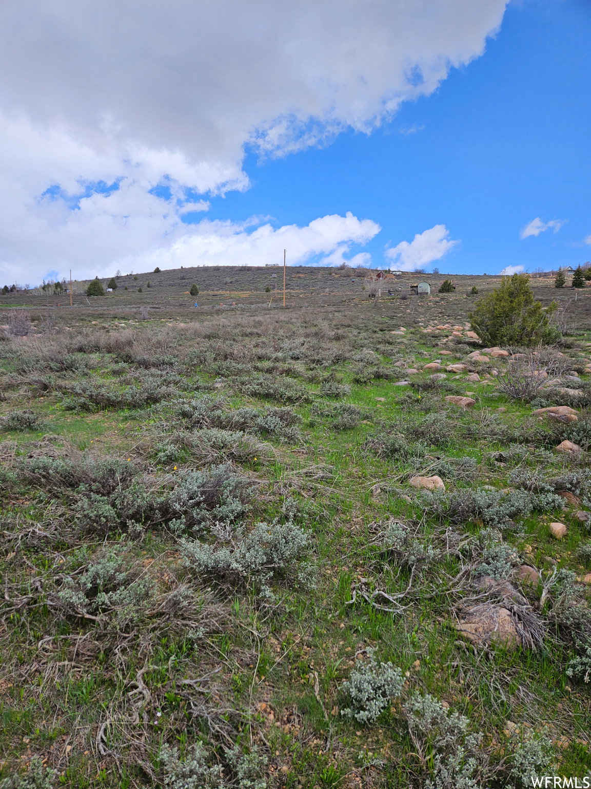 View of local wilderness with a rural view