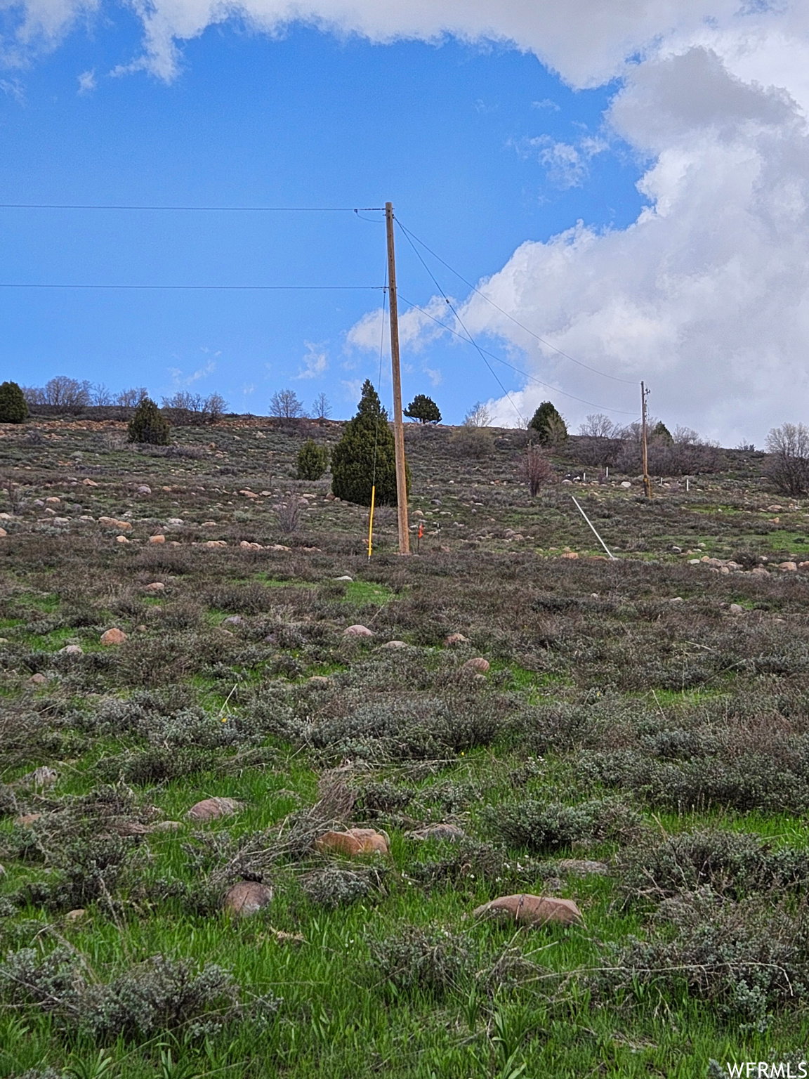 View of local wilderness featuring a rural view
