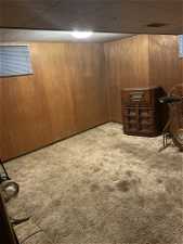 Basement with wood walls and light carpet