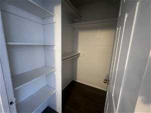 Spacious closet featuring dark hardwood / wood-style flooring
