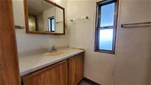 Bathroom featuring a wealth of natural light and vanity