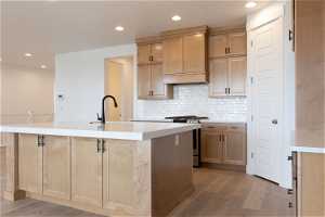 Kitchen with a kitchen island with sink, stainless steel gas stove, sink, and light hardwood / wood-style floors