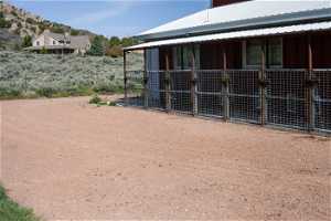 View of dog facility