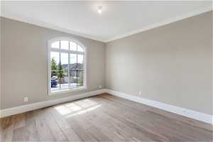 Unfurnished room featuring crown molding and light hardwood / wood-style floors