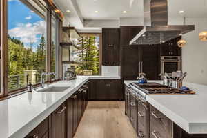 Kitchen with appliances with stainless steel finishes, island range hood, pendant lighting, sink, and light hardwood / wood-style flooring