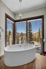 Bathroom featuring a notable chandelier, a mountain view, and a washtub