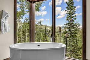 Bathroom with a bathing tub