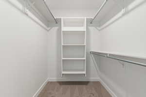 Spacious closet featuring carpet flooring