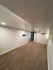 Basement family room