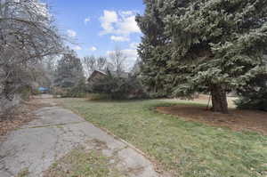 Reverse Side Driveway view FROM Stable