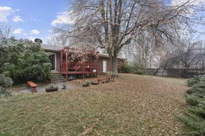 Back yard looking toward Patio