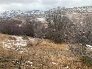 View of Property & Mountains to the East