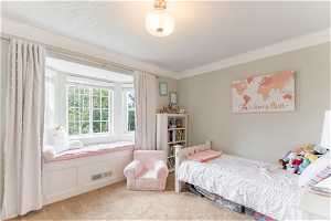 Main floor bedroom with cute window seat , warm natural light