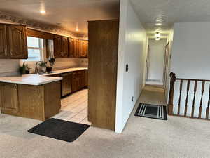 Kitchen with light colored carpet, dishwasher, sink, and kitchen peninsula