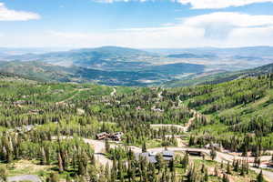 Mountain view with a heavily wooded area