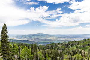 Mountain view featuring a heavily wooded area