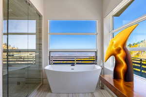 Bathroom with a freestanding tub, plenty of natural light, and a shower stall