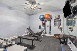 Workout room featuring ceiling fan and fresh air ventilation