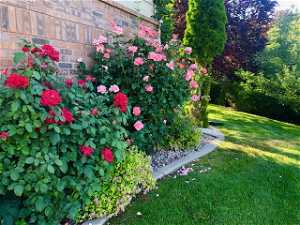 Private Rose Garden
