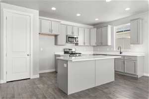 Kitchen featuring a center island, stainless steel appliances, gray cabinets, sink, and dark wood-type flooring