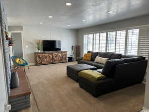 Carpeted living room featuring a textured ceiling