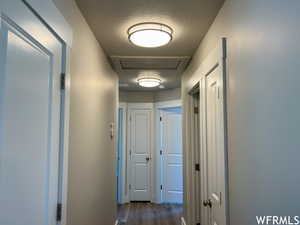 Hallway featuring a textured ceiling and dark wood-type flooring