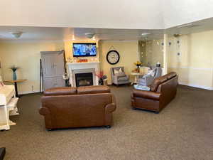 Carpeted living room with ornamental molding and a textured ceiling