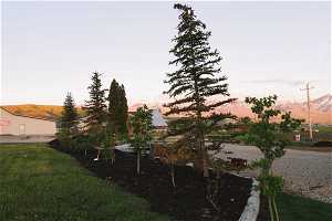 Yard at dusk featuring a mountain view and mature trees.