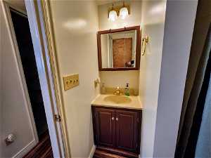 Bathroom featuring wood-type flooring and oversized vanity