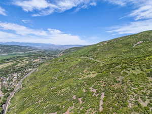 View from property looking toward Mt. Timpanogos.