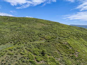 View of mountain property.