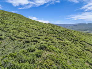 View of mountain property.