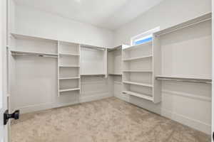Spacious closet featuring carpet