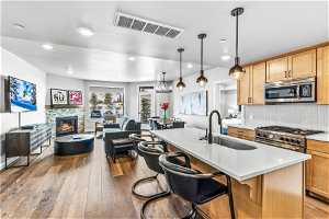Kitchen featuring a fireplace, appliances with stainless steel finishes, light hardwood / wood-style flooring, backsplash, and sink