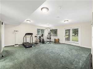 Exercise room with dark carpet and a healthy amount of sunlight