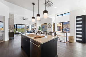 Kitchen with a healthy amount of sunlight, pendant lighting, a kitchen island with sink, sink, and dishwasher