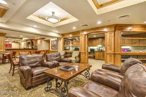 Living room featuring light carpet and a tray ceiling